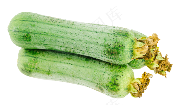 新鲜食材蔬菜丝瓜(3000X3000(DPI:300))