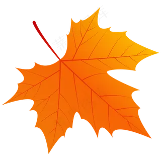 一片仿真枫叶