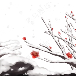 落雪梅花