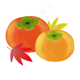 秋分果实柿子枫叶