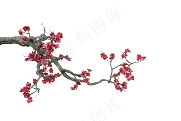 古树梅枝(3000*2000px 300 dpi )