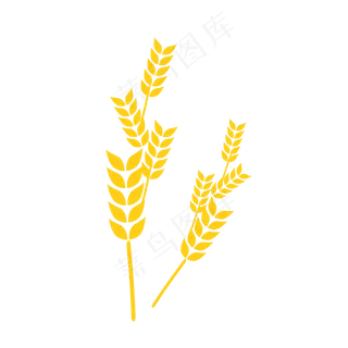 金黄色小麦矢量麦穗