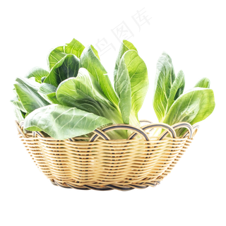 绿色蔬菜油菜 绿色蔬菜油菜