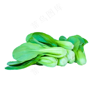 蔬菜高清摄影 蔬菜高清摄影