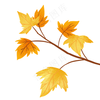 黄色枫叶秋天秋分