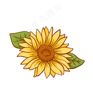 教师节母亲节鲜花花束6