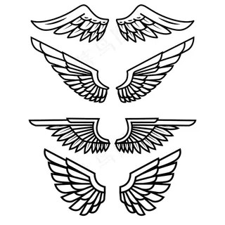 白色背景上的一组翅膀。标志、标签、徽章、标志、徽章的元素。插图