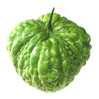 绿色蔬菜苦瓜 绿色蔬菜苦瓜