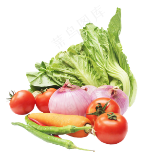 生菜芥菜洋葱番茄姜辣椒胡萝卜
