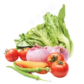 生菜芥菜洋葱番茄姜辣椒胡萝卜 生菜芥菜洋葱番茄姜辣椒胡萝卜