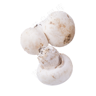 白蘑菇(png免抠）