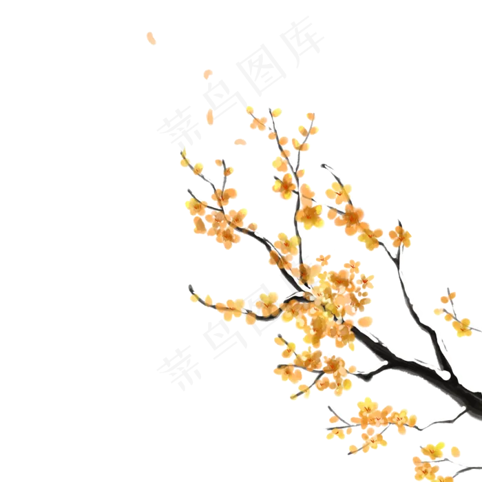 冬天腊梅黄梅(2000X2000(DPI:300))psd模版下载