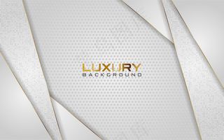 豪华浅银色背景，金色线条