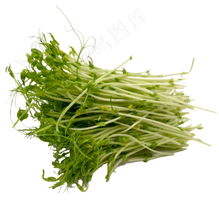 蔬菜豆苗(2000X2000(DPI:299))