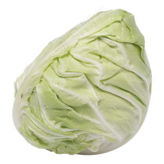 绿色卷心菜实拍