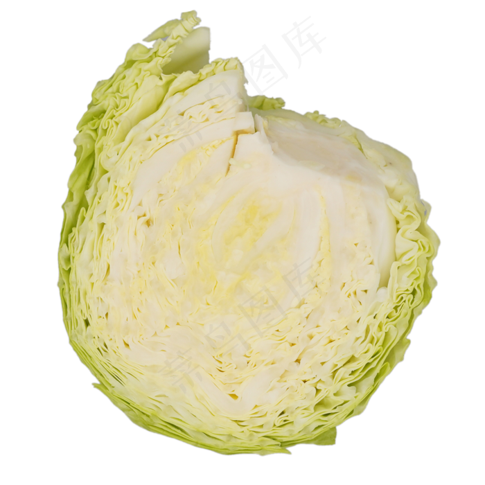 半个茴子白食材(2000*2000px 300 dpi )