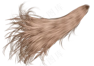 头发、假发、长发