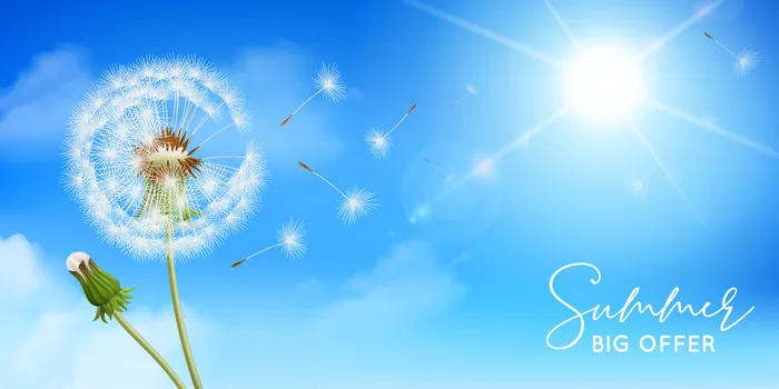 具有天空背景太阳和花朵的逼真蒲公英组合物eps,ai矢量模版下载