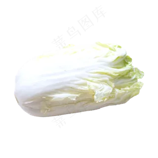 白色蔬菜青菜