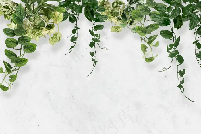 叶子背景壁纸热带矢量，绿色室内植物eps,ai矢量模版下载