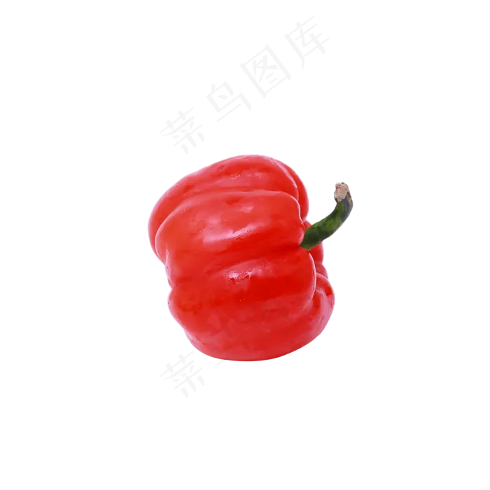 蔬菜灯笼椒(2000*2000px 300 dpi )