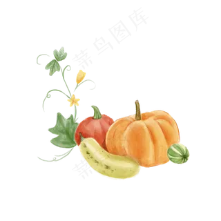 水彩秋天丰收南瓜