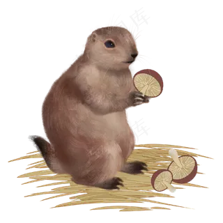 土拨鼠蘑菇秋天动物 土拨鼠蘑菇秋天动物