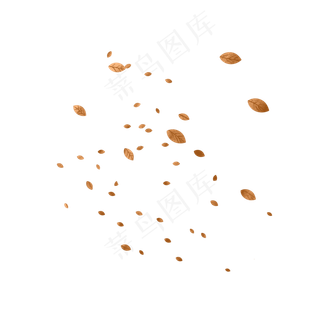 秋天落叶花朵树叶