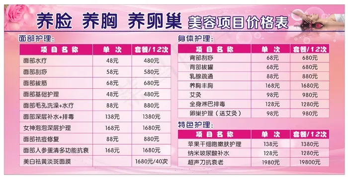 美容项目价目表cdr矢量模版下载