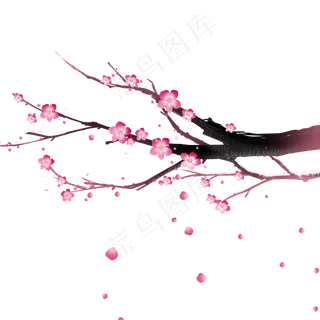 中国风冬天梅花