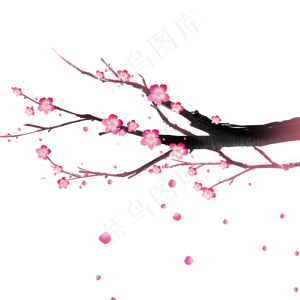 中国风冬天梅花