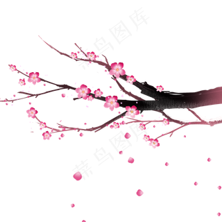 中国风冬天梅花