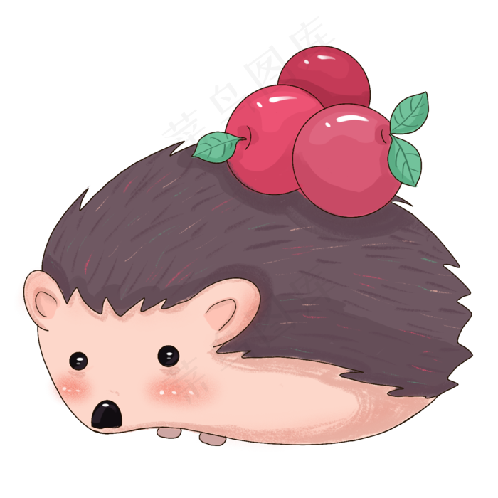 秋天刺猬果实苹果