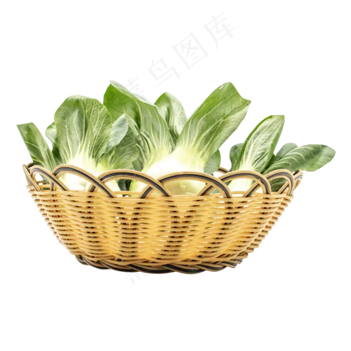 有机蔬菜油菜(2480X2480(DPI:299))