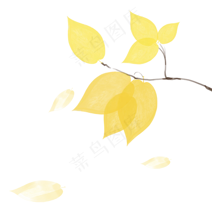 秋分树叶飘落(3000X3000(DPI:300))psd模版下载