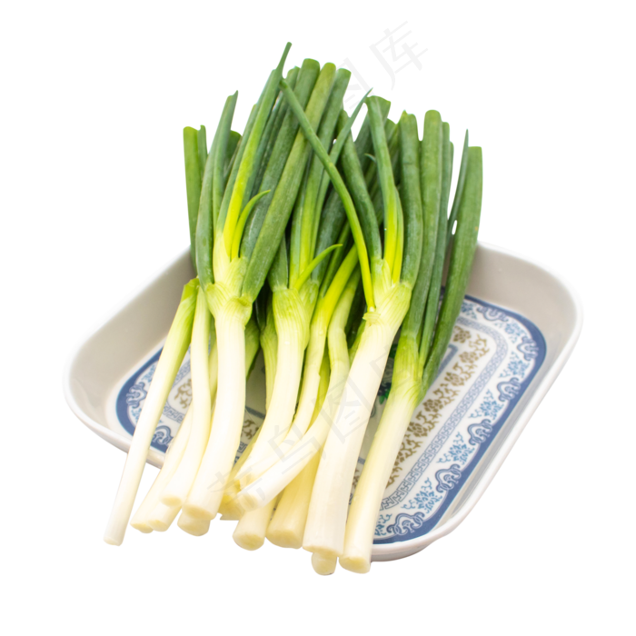 绿色蔬菜小葱