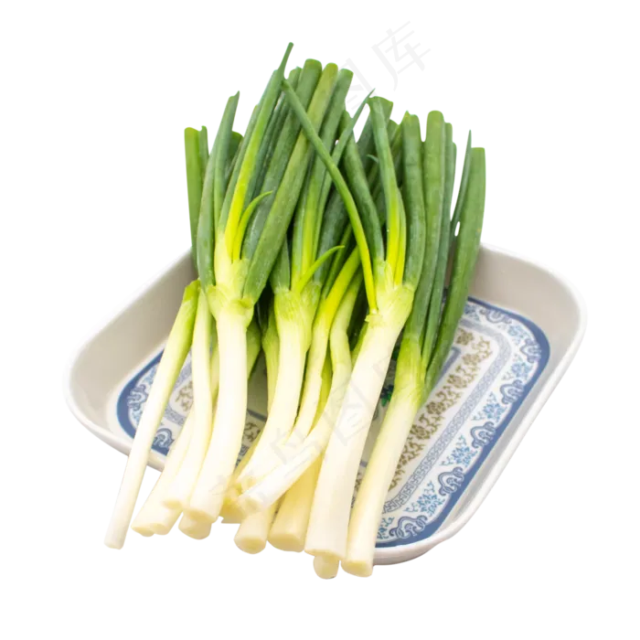绿色蔬菜小葱(2480X2480(DPI:299))