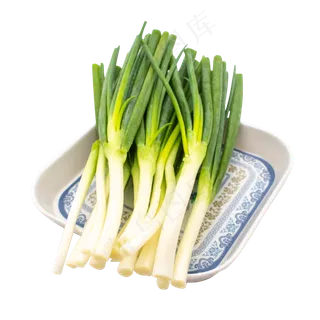 绿色蔬菜小葱 绿色蔬菜小葱