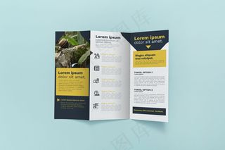 小册子概念模型样机