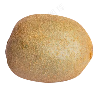 一个水果猕猴桃