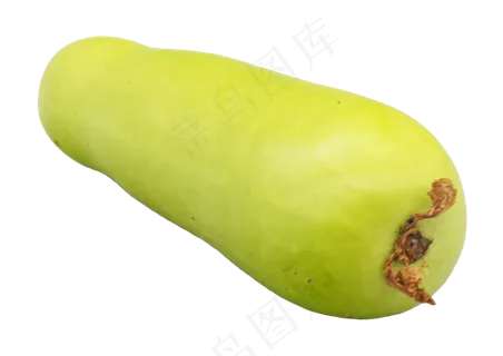 绿色西葫芦食材 绿色西葫芦食材