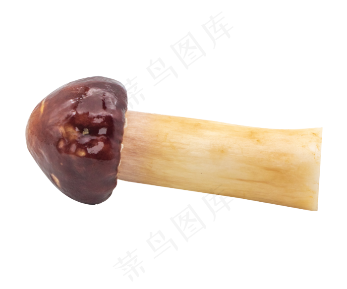 一个深红色蘑菇