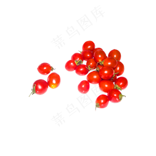 新鲜美味小番茄