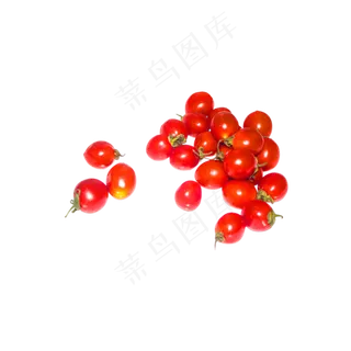 新鲜美味小番茄