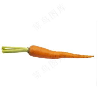 一根蔬菜胡萝卜