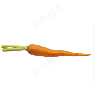 一根蔬菜胡萝卜
