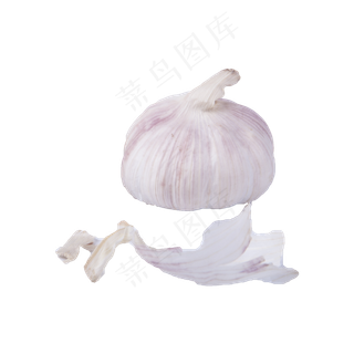 洋葱实物（png免抠）