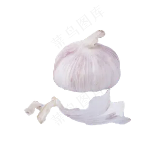 洋葱实物（png免抠）