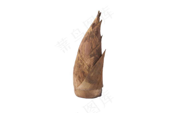嫩竹笋美食可食用(2000X1333(DPI:240))psd模版下载