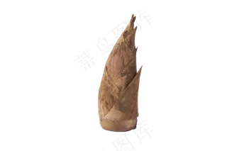 嫩竹笋美食可食用